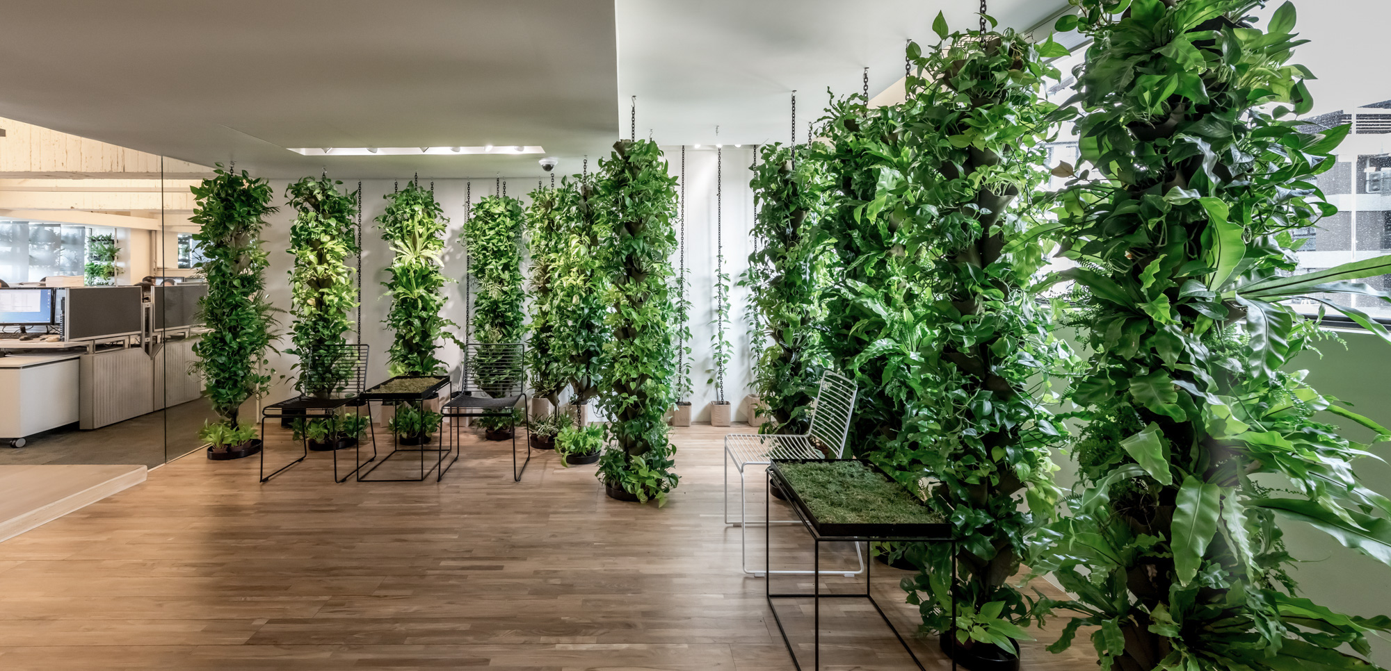 Elevated Planting System